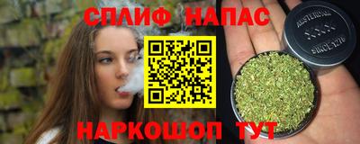 сатива Шахты