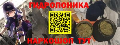 PSILOCYBIN Шелехов